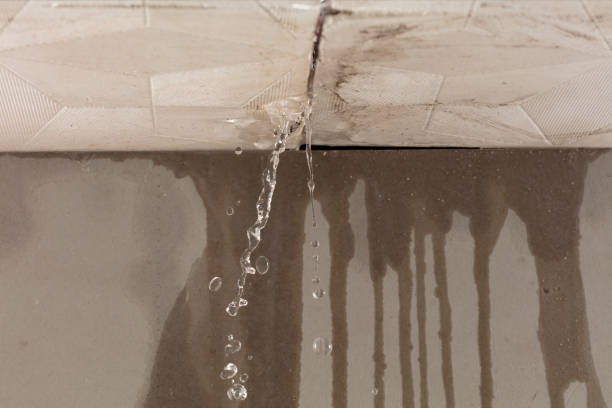 Professional Burst Pipe Cleanup technician working in Brandon, FL